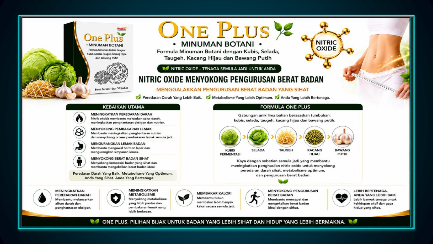 Kelebihan One Plus