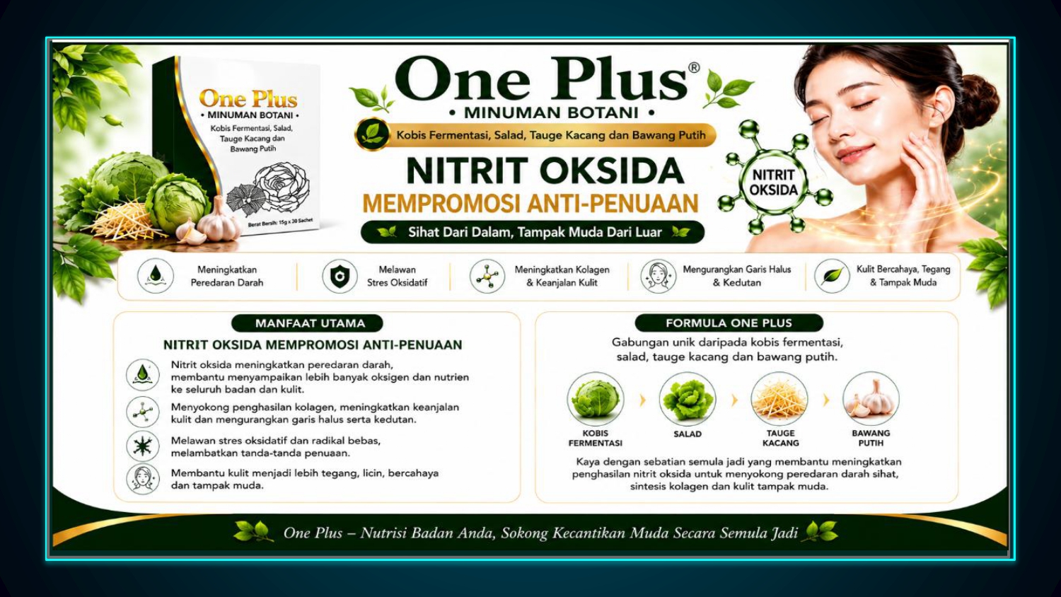 Kelebihan One Plus
